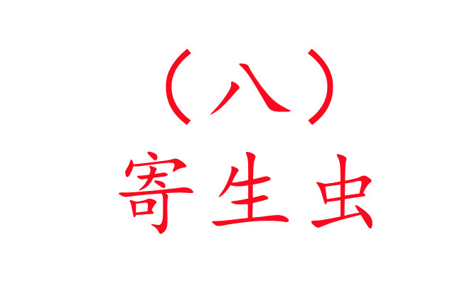 人工养麝技术之八