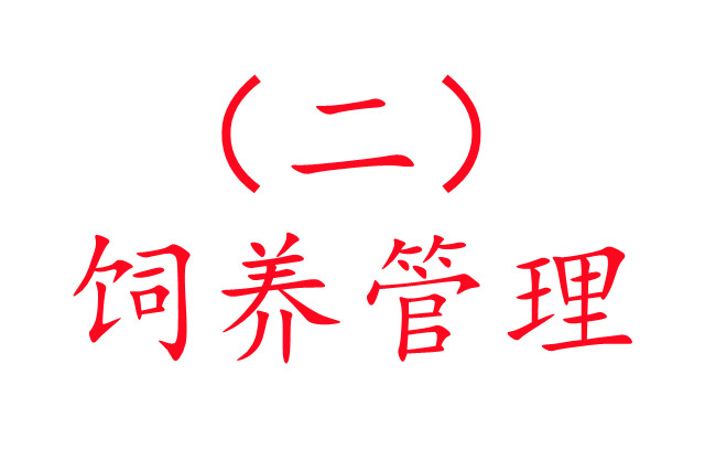 人工养麝技术之二
